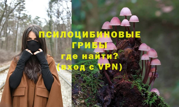 крисы Майский
