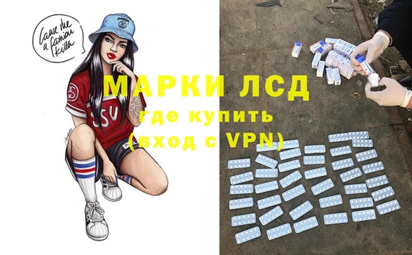 PSILOCYBIN Липки