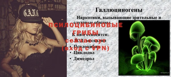 прущие крисы Магадан