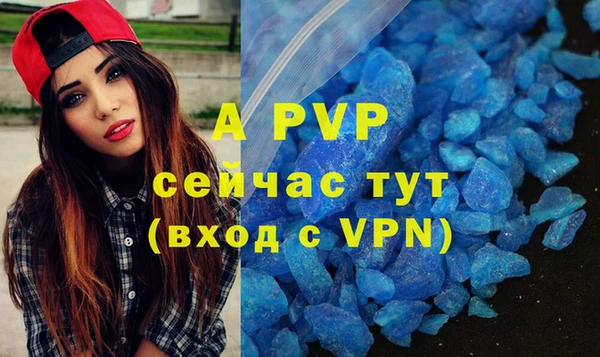 a pvp Магас