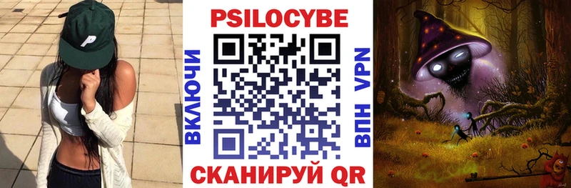МЕГА ссылки  Сысерть  Галлюциногенные грибы Psilocybine cubensis 